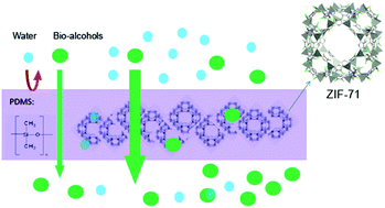 Graphical abstract: ZIF-71 as a potential filler to prepare pervaporation membranes for bio-alcohol recovery