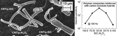 Graphical abstract: Effective synergistic effect of Al2O3 and SiC microparticles on the growth of carbon nanotubes and their application in high dielectric permittivity polymer composites