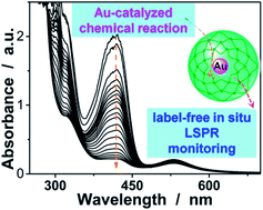 Graphical abstract: Responsive Au@polymer hybrid microgels for the simultaneous modulation and monitoring of Au-catalyzed chemical reaction