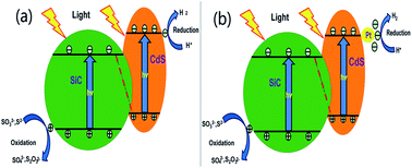 Graphical abstract: Enhanced photocatalytic H2 evolution over micro-SiC by coupling with CdS under visible light irradiation
