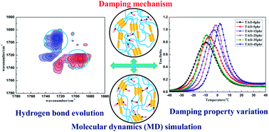 Graphical abstract: Molecular insights into hydrogen bonds in polyurethane/hindered phenol hybrids: evolution and relationship with damping properties