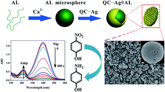 Graphical abstract: Fabrication of high-density silver nanoparticles on the surface of alginate microspheres for application in catalytic reaction
