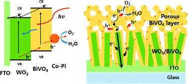 Graphical abstract: Morphology control of one-dimensional heterojunctions for highly efficient photoanodes used for solar water splitting