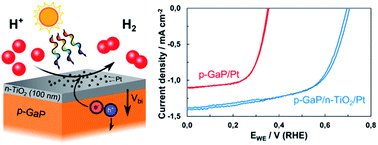 Graphical abstract: Formation of a p–n heterojunction on GaP photocathodes for H2 production providing an open-circuit voltage of 710 mV