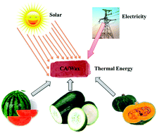 Graphical abstract: From biomass to high performance solar–thermal and electric–thermal energy conversion and storage materials