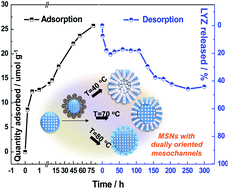 Graphical abstract: Fabrication of core–shell structured mesoporous silica nanospheres with dually oriented mesochannels through pore engineering