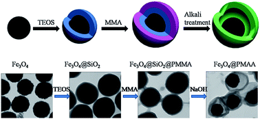 Graphical abstract: Design of yolk–shell Fe3O4@PMAA composite microspheres for adsorption of metal ions and pH-controlled drug delivery