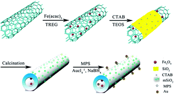 Graphical abstract: Programmed synthesis of magnetic mesoporous silica nanotubes with tiny Au nanoparticles: a highly novel catalyst system