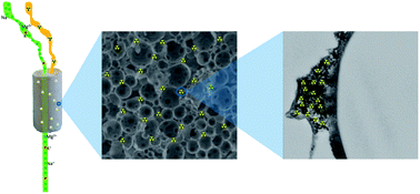 Graphical abstract: Facile one-pot synthesis of copper hexacyanoferrate nanoparticle functionalised silica monoliths for the selective entrapment of 137Cs