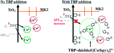 Graphical abstract: Shielding effects of additives in a cobalt(ii/iii) redox electrolyte: toward higher open-circuit photovoltages in dye-sensitized solar cells