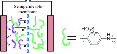 Graphical abstract: Electrochemical supercapacitor with polymeric active electrolyte