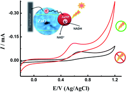 Graphical abstract: Photoelectrocatalytic oxidation of NADH by visible light driven plasmonic nanocomposites