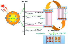 Graphical abstract: AgBr quantum dots decorated mesoporous Bi2WO6 architectures with enhanced photocatalytic activities for methylene blue