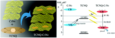 Graphical abstract: Enhancement of mineralization ability of C3N4via a lower valence position by a tetracyanoquinodimethane organic semiconductor