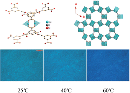 Graphical abstract: A guest-dependent thermochromic feature in a metal–organic framework and its thin film on different supports