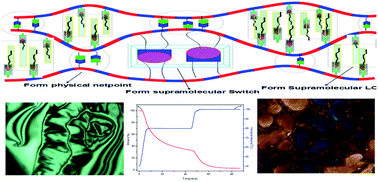 Graphical abstract: Development of supramolecular liquid-crystalline polyurethane complexes exhibiting triple-shape functionality using a one-step programming process