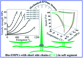 Graphical abstract: Bio-based shape memory polyurethanes (Bio-SMPUs) with short side chains in the soft segment