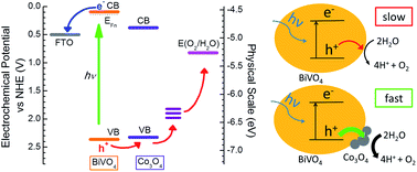 Graphical abstract: Limiting factors for photochemical charge separation in BiVO4/Co3O4, a highly active photocatalyst for water oxidation in sunlight
