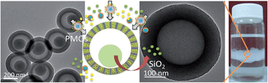 Graphical abstract: An organosilane-directed growth-induced etching strategy for preparing hollow/yolk–shell mesoporous organosilica nanospheres with perpendicular mesochannels and amphiphilic frameworks