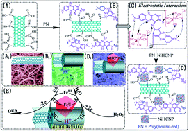 Graphical abstract: A novel electroactive hybrid film electrode with proton buffer effect for detecting hydrogen peroxide and uric acid