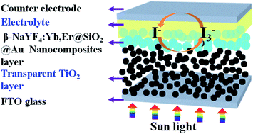 Graphical abstract: Plasmon-enhanced efficient dye-sensitized solar cells using core–shell-structured β-NaYF4:Yb,Er@SiO2@Au nanocomposites