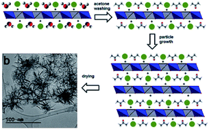 Graphical abstract: Synthesis and characterisation of aqueous miscible organic-layered double hydroxides