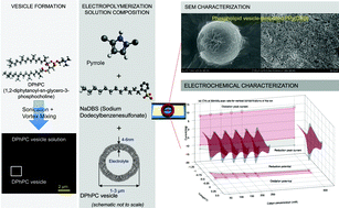 Graphical abstract: Phospholipid vesicles as soft templates for electropolymerization of nanostructured polypyrrole membranes with long range order