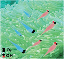 Graphical abstract: One-pot synthesis of a nitrogen and phosphorus-dual-doped carbon nanotube array as a highly effective electrocatalyst for the oxygen reduction reaction