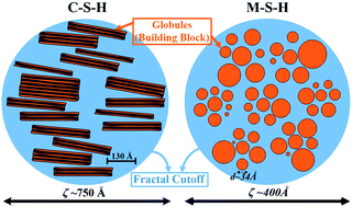 Graphical abstract: Multiscale structure of calcium- and magnesium-silicate-hydrate gels