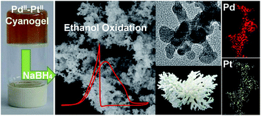 Graphical abstract: Facile synthesis of corallite-like Pt–Pd alloy nanostructures and their enhanced catalytic activity and stability for ethanol oxidation