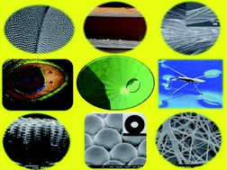Graphical abstract: A review on ‘self-cleaning and multifunctional materials’