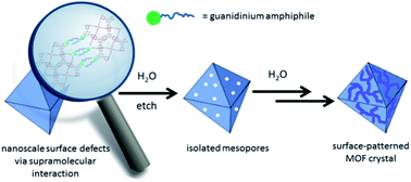 Graphical abstract: Surface etching of HKUST-1 promoted via supramolecular interactions for chromatography