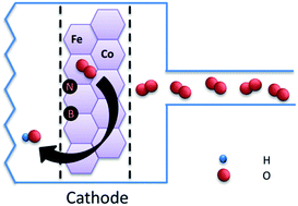 Graphical abstract: Recent advances of doped carbon as non-precious catalysts for oxygen reduction reaction