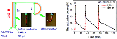 Graphical abstract: Infrared-driving actuation based on bilayer graphene oxide-poly(N-isopropylacrylamide) nanocomposite hydrogels