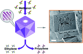Graphical abstract: In situ growth-etching approach to the preparation of hierarchically macroporous zeolites with high MTO catalytic activity and selectivity