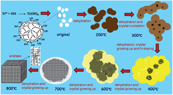 Graphical abstract: Enhanced photocatalytic activity of hydroxylated and N-doped anatase derived from amorphous hydrate