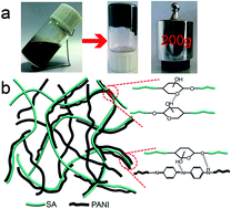 Graphical abstract: Reinforced conducting hydrogels prepared from the in situ polymerization of aniline in an aqueous solution of sodium alginate