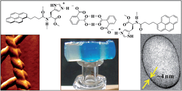 Graphical abstract: Phthalate mediated hydrogelation of a pyrene based system: a novel scaffold for shape-persistent, self-healing luminescent soft material