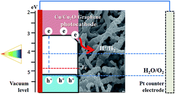 Graphical abstract: The synergetic effect of graphene on Cu2O nanowire arrays as a highly efficient hydrogen evolution photocathode in water splitting