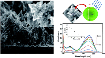 Graphical abstract: Highly-reactive AgPt nanofern composed of {001}-faceted nanopyramidal spikes for enhanced heterogeneous photocatalysis application