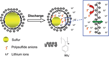 Graphical abstract: Electrostatic shield effect: an effective way to suppress dissolution of polysulfide anions in lithium–sulfur battery