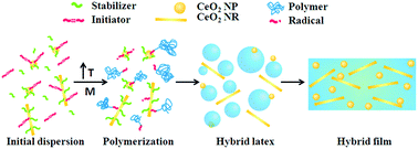 Graphical abstract: Hybrid acrylic/CeO2 nanocomposites using hydrophilic, spherical and high aspect ratio CeO2 nanoparticles