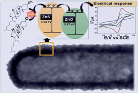 Graphical abstract: An amperometric cholesterol biosensor with excellent sensitivity and limit of detection based on an enzyme-immobilized microtubular ZnO@ZnS heterostructure