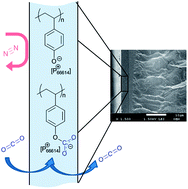 Graphical abstract: Highly selective CO2 separation membranes through tunable poly(4-vinylphenolate)–CO2 interactions