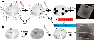 Graphical abstract: Ag size-dependent visible-light-responsive photoactivity of Ag–TiO2 nanostructure based on surface plasmon resonance