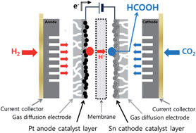 Graphical abstract: Sustainable production of formic acid by electrolytic reduction of gaseous carbon dioxide