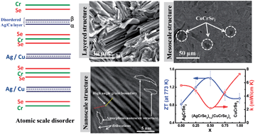 Graphical abstract: High thermoelectric performance of (AgCrSe2)0.5(CuCrSe2)0.5 nano-composites having all-scale natural hierarchical architectures