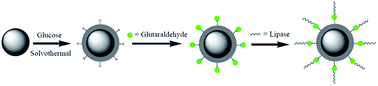 Graphical abstract: Synthesis of amine-functionalized Fe3O4@C nanoparticles for lipase immobilization