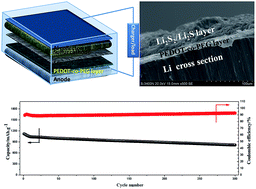 Graphical abstract: Enhanced cycle performance of a Li–S battery based on a protected lithium anode