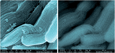 Graphical abstract: Synthesis and facile size control of well-dispersed cobalt nanoparticles supported on ordered mesoporous carbon